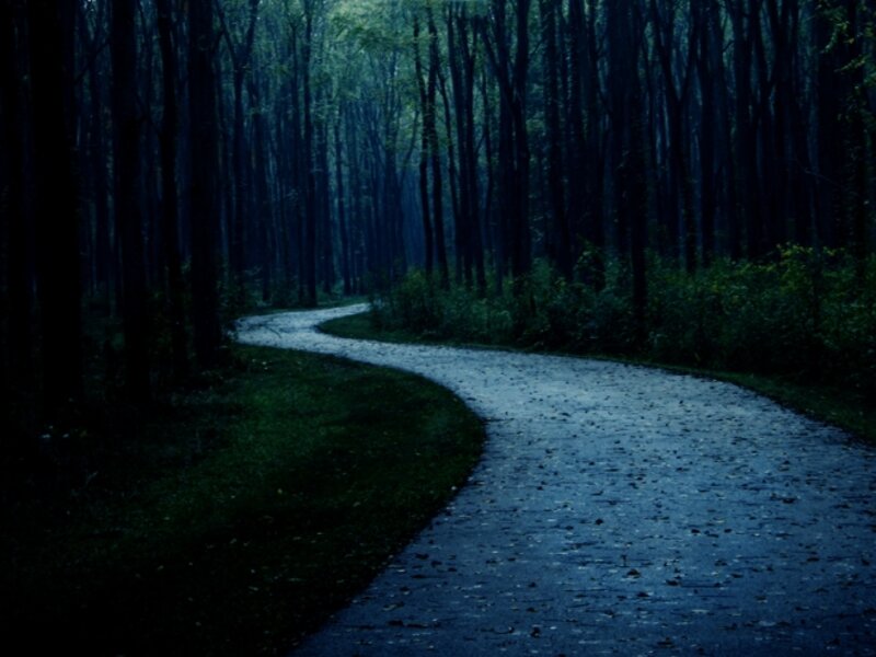 I Must Take the Unforsaken Road