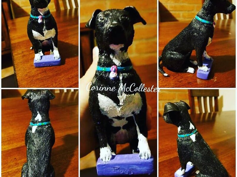 Jack Black the Dog