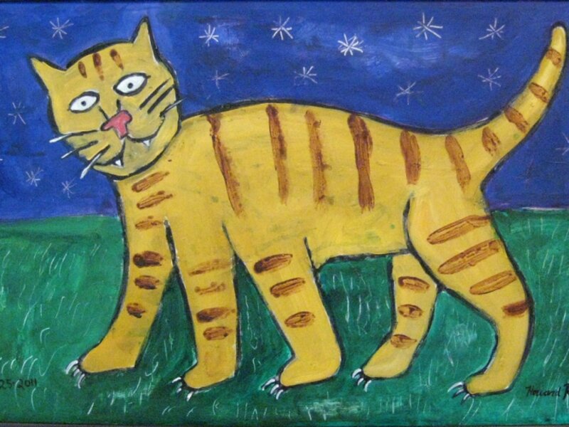 Five Legged Cat