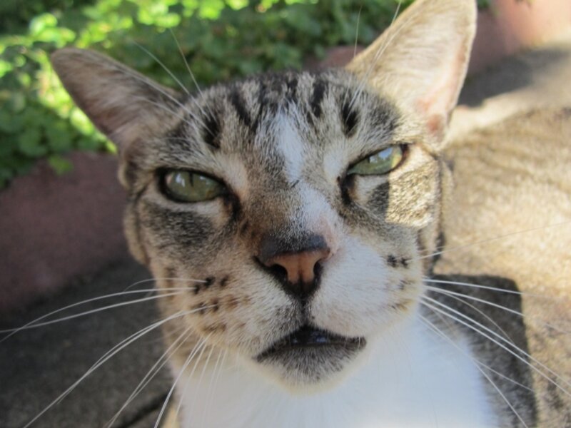 Buddy, Up Close and Personal