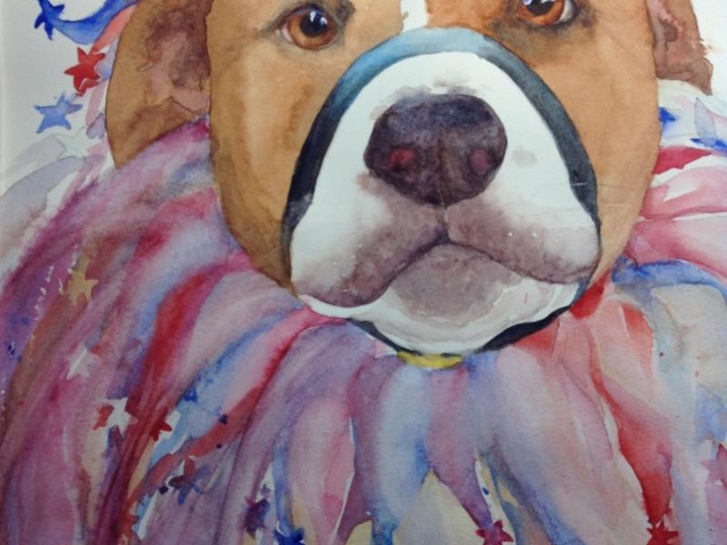 “Harlequin Dog”  Transparent watercolor  matted & framed