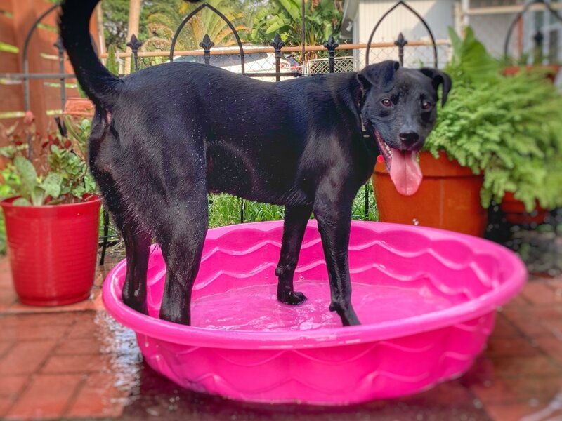 Rub-A-Dub