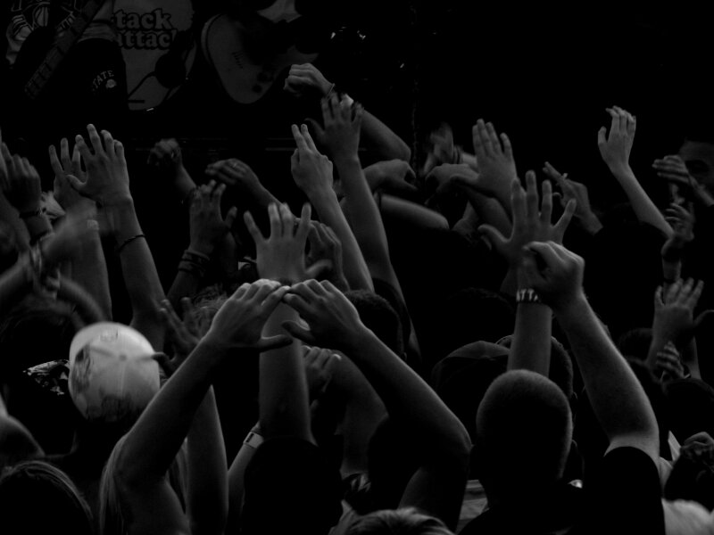 Warped Tour crowd.