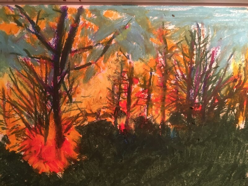 Forest Fire