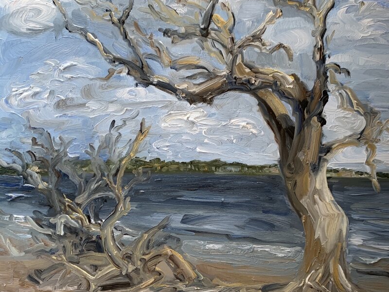 Driftwood Beach, Jekyll Island