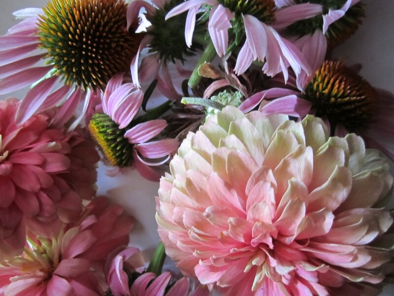 Paper Plate With a Mix of Cut Flowers