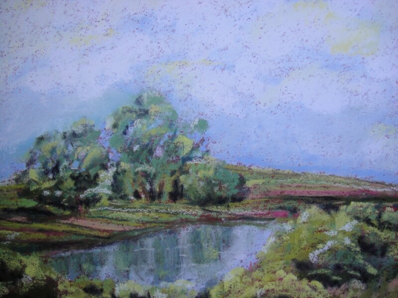 Secluded Pond