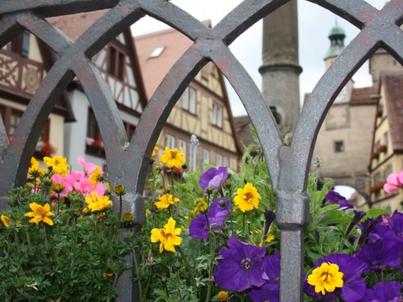flowers in the foreground