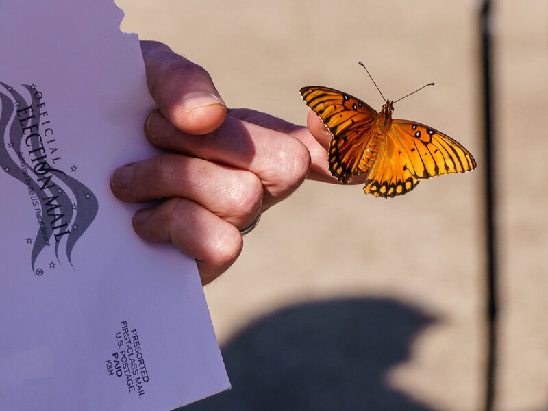 Butterfly on a finger, hand holding envelope