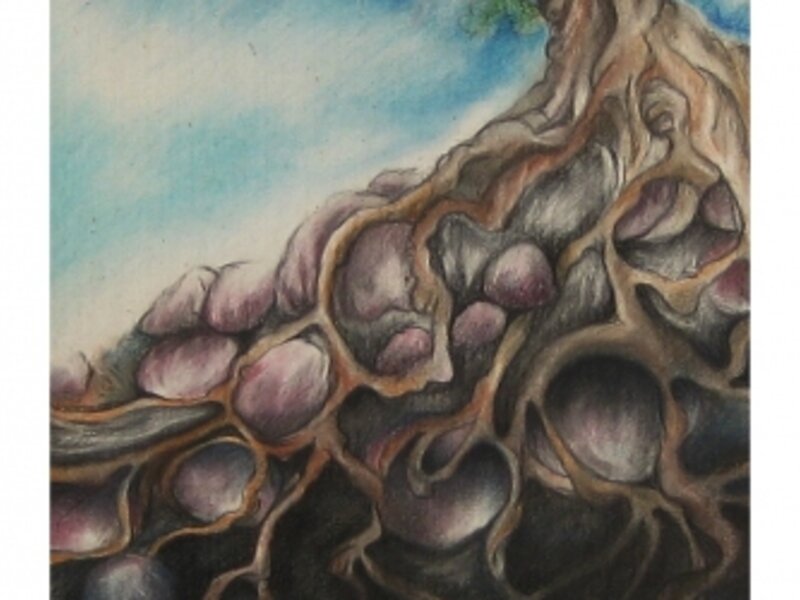 Above and Below Oak