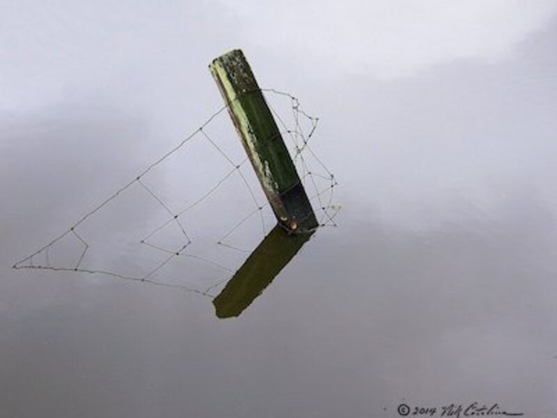 Post Wire & Water