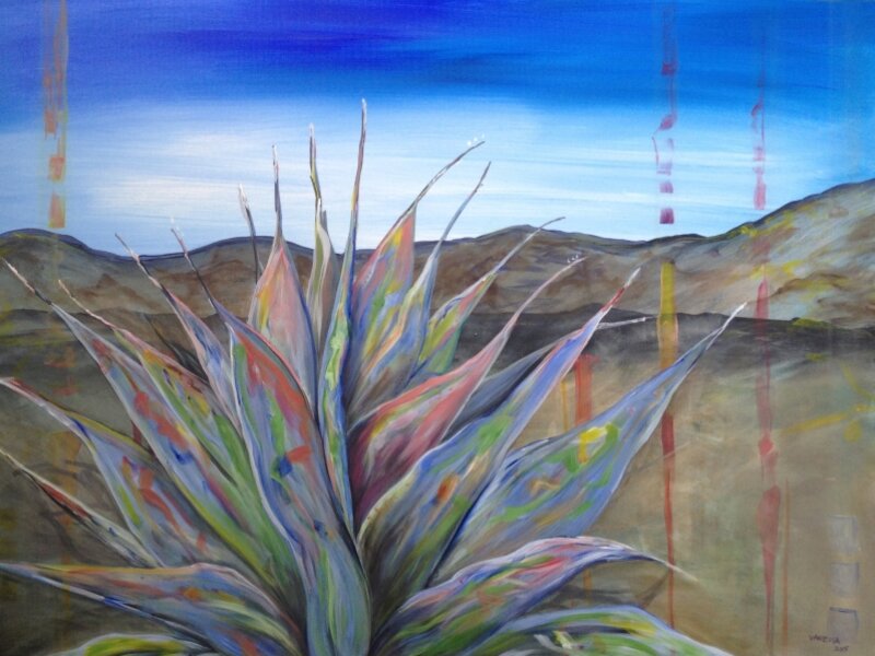 Agave at Big Bend