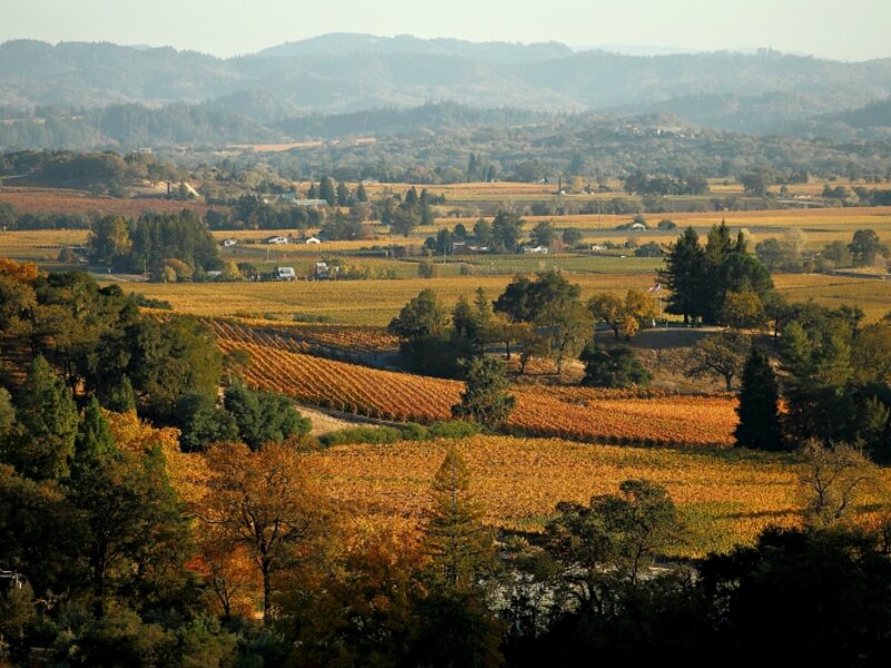 Alexander Valley Harvest Autumn