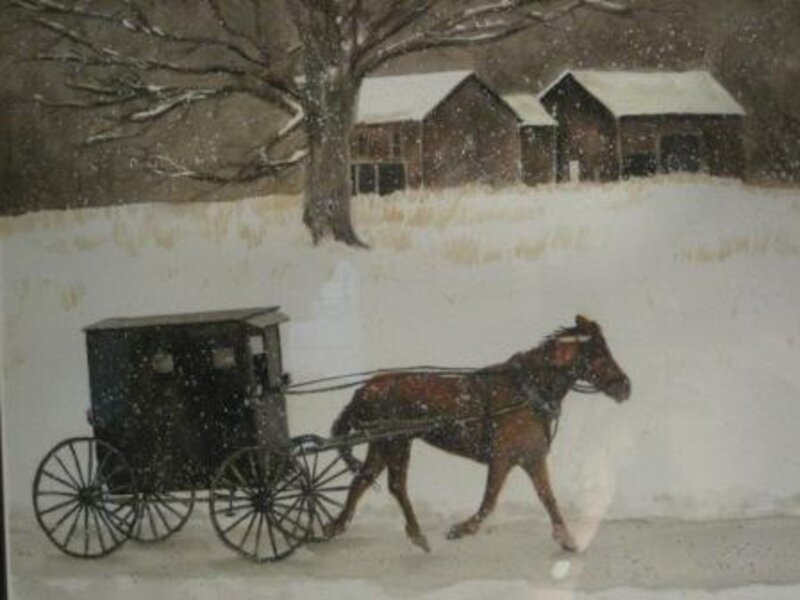 "Amish Buggy"