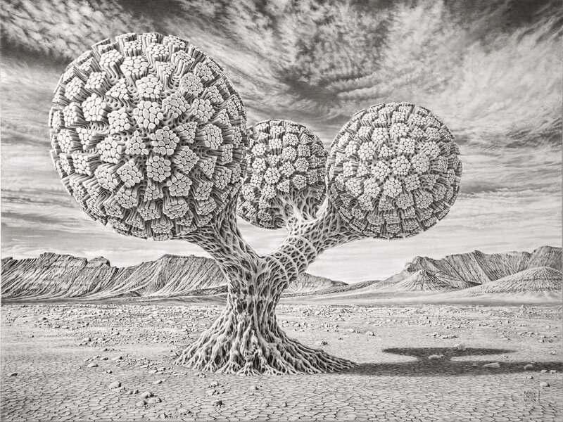 Phytotessellost  Robot 47