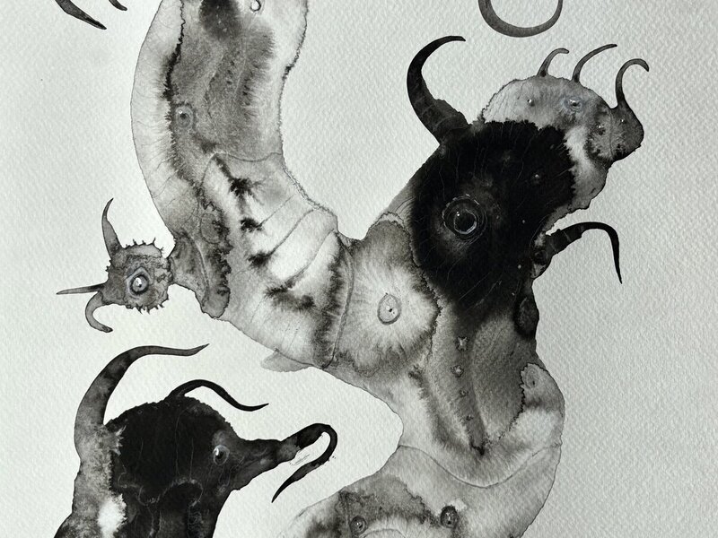 Painting in India ink washes, February, 2026.