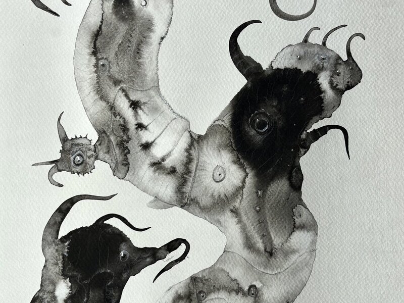 Painting in India ink washes, February, 2026.