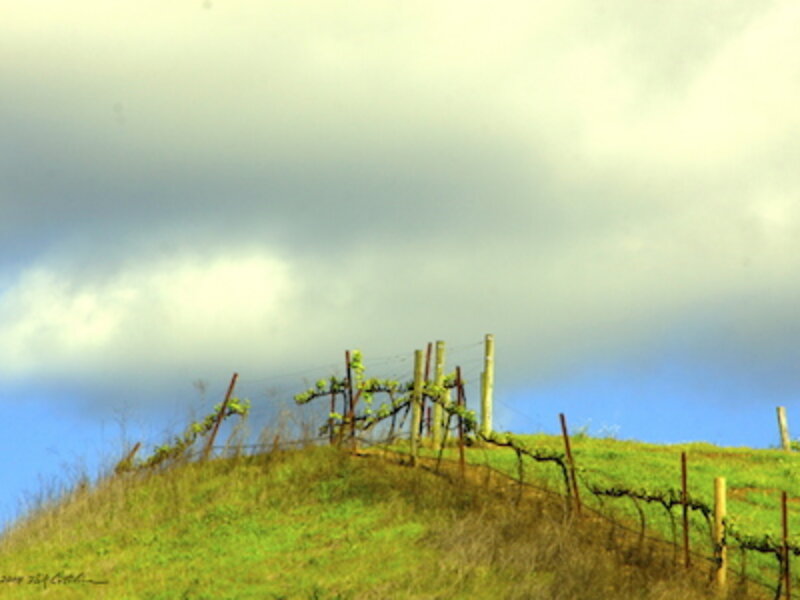 Cloud Kiss Hill