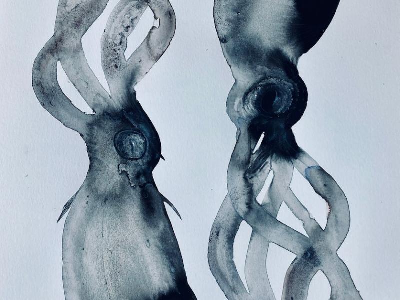 Cephalopod painting in India Ink, 2024.