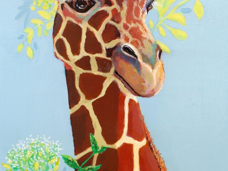 African Princess- 2023