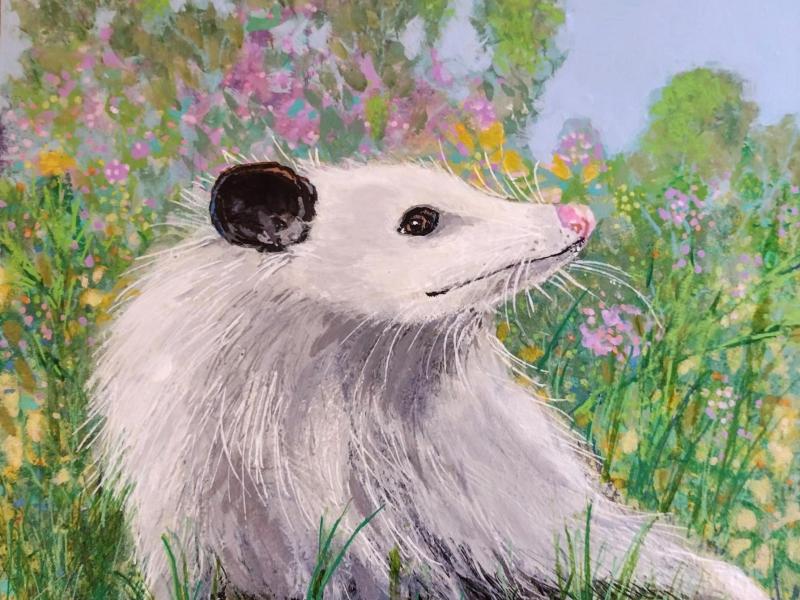 Petal the Possum-2023