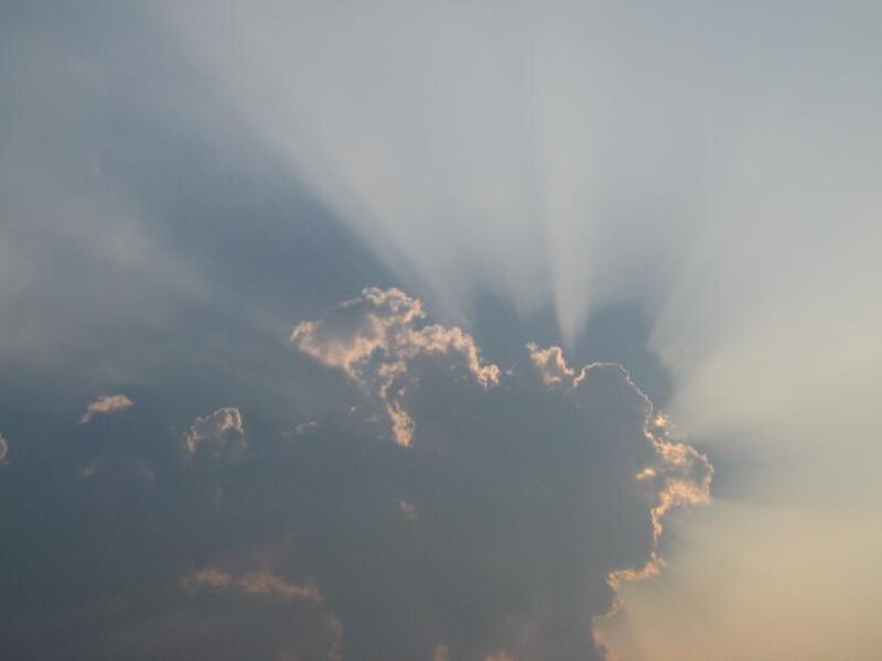 Rays of Sun