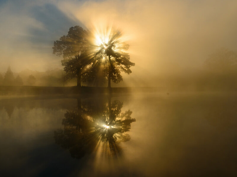 Autumn Sunrise
