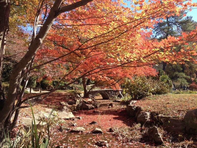 Autumn in Maymont