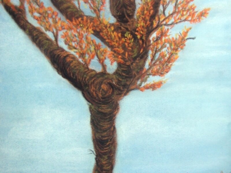 Les Ballet Des Arbres IV