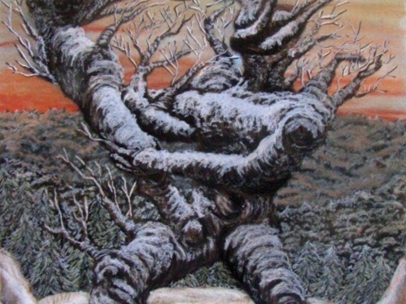 Les Ballet Des Arbres I