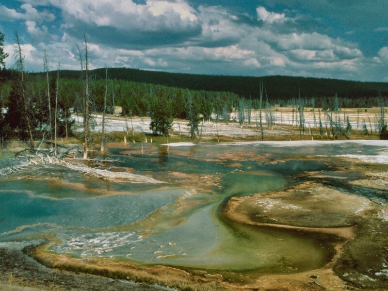 Yellowstone 