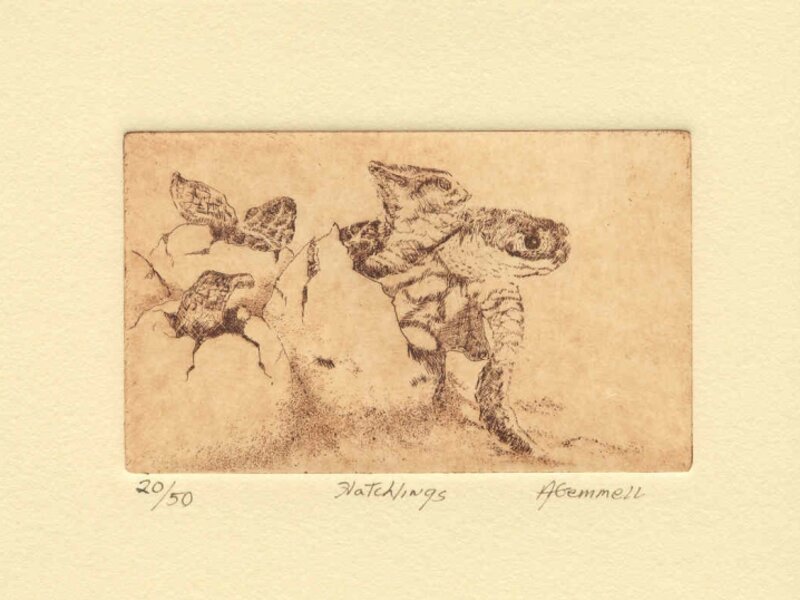 Hatchlings