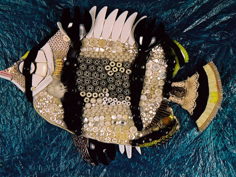 Banded Butterfly