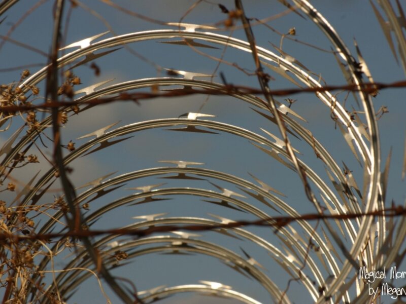 Barbed Wire 