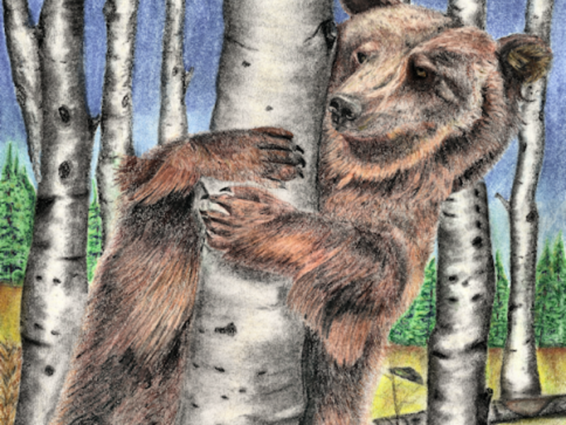 A Bear Hug