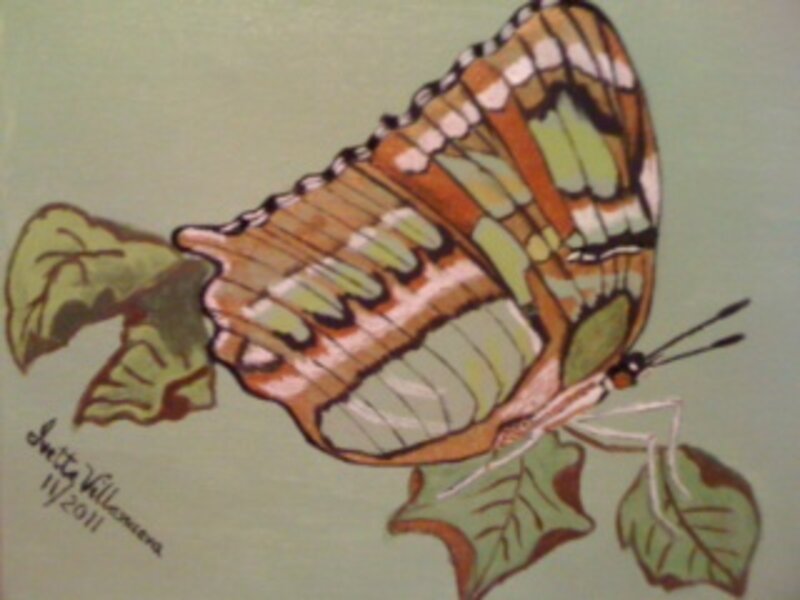 "Bella Mariposa"