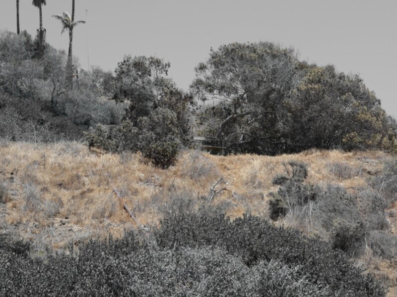 Lone Bench