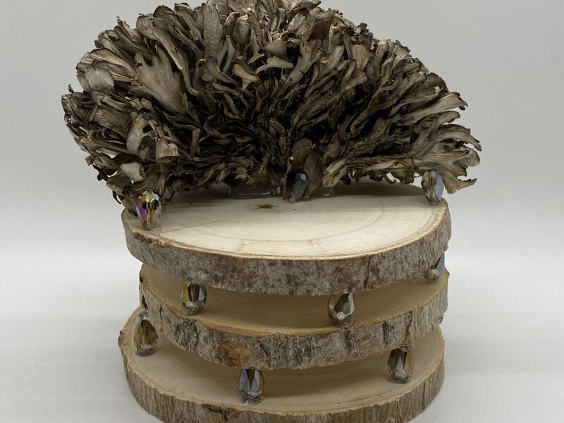 Out of the Woods Chair