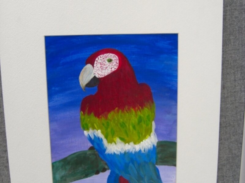 Tropical Parrot