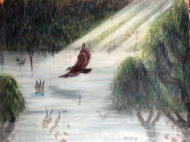 Bird Swamp II