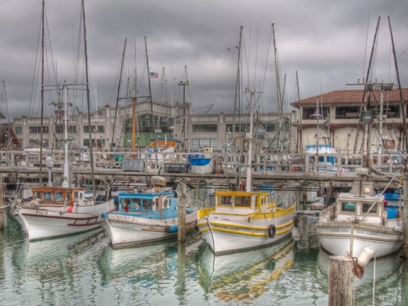 Safe Harbor