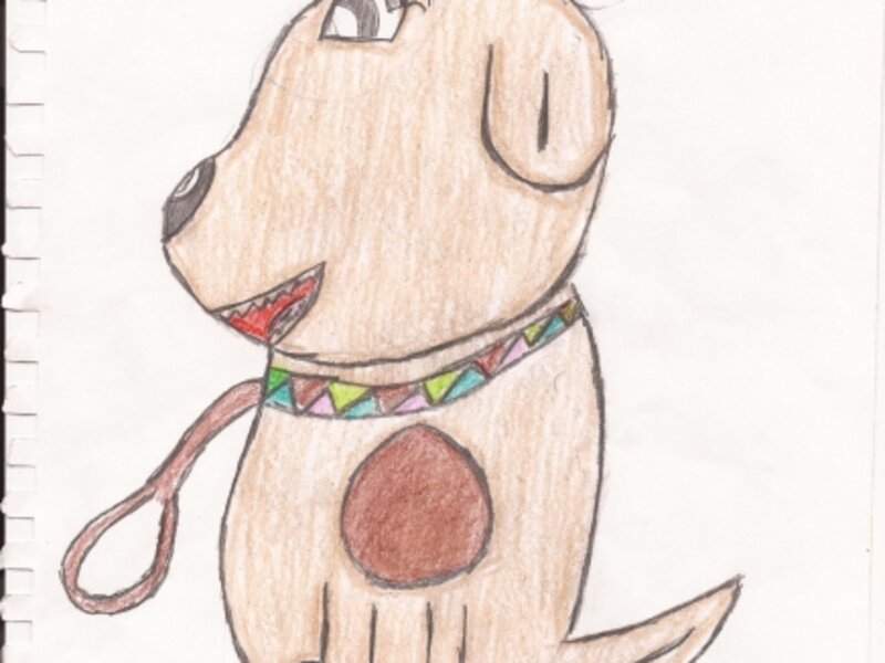 Bow Wow