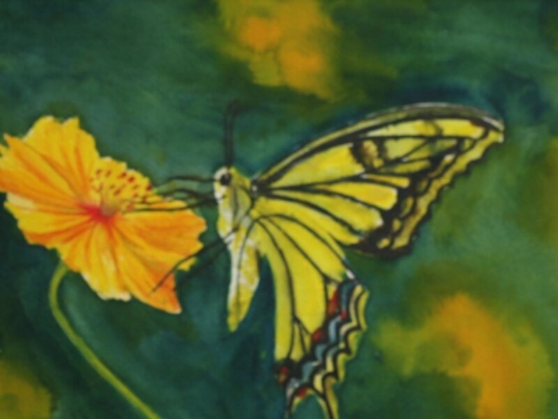 Drawn by the fragrance