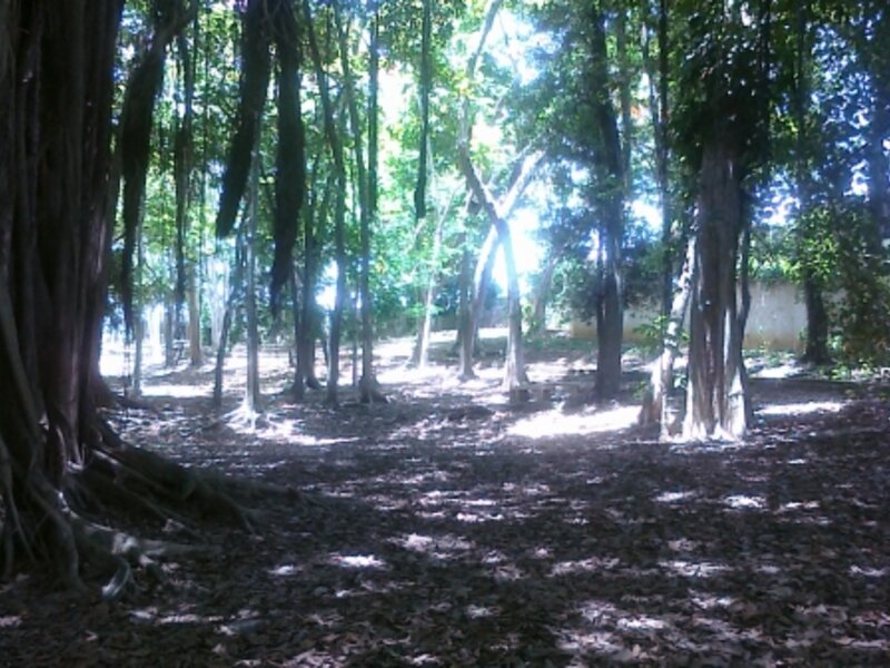 Heaven