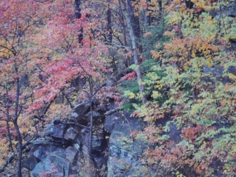 Painted cliff