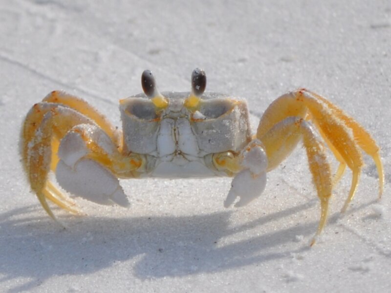 I've been crabby all day.