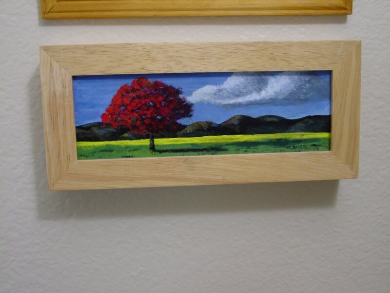 Canola Field with Red Tree