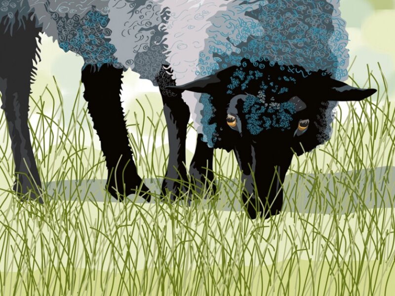 Caught Grazing