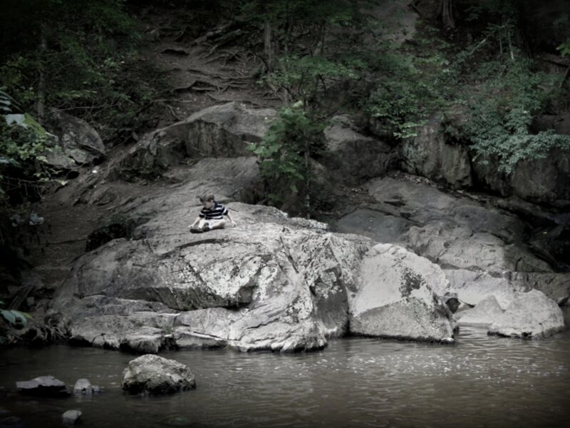 Cedarock Park