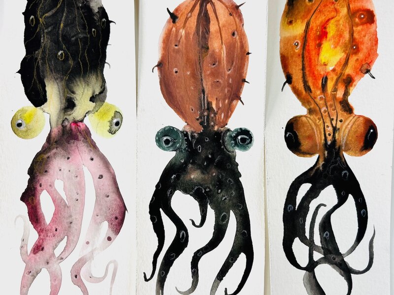 Watercolor paintings of cephalopods from 2020.